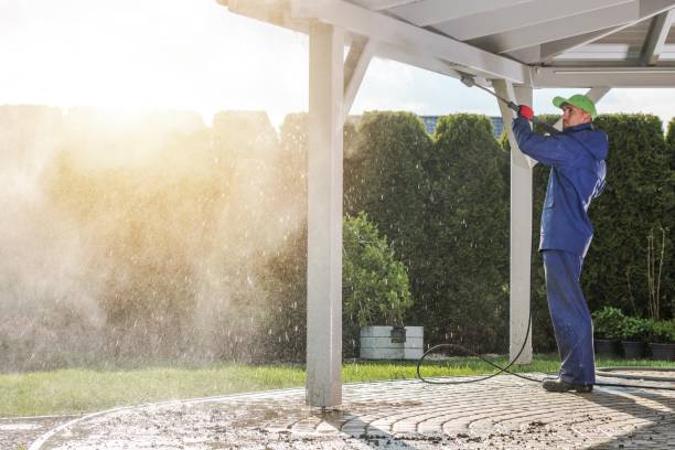 Best House Exterior Washing  in Endicott, NY